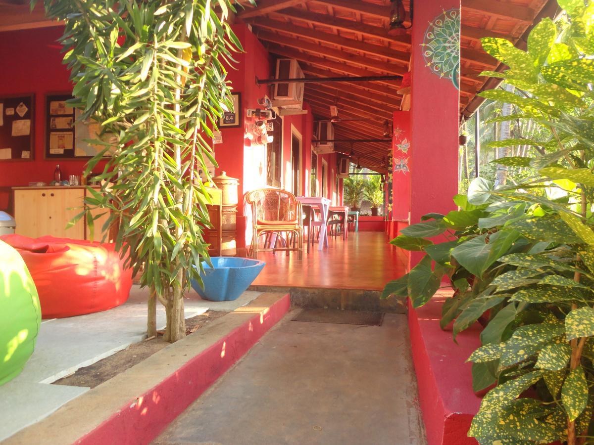 أنجونا The Yuppi Hippi Female Hostel المظهر الخارجي الصورة