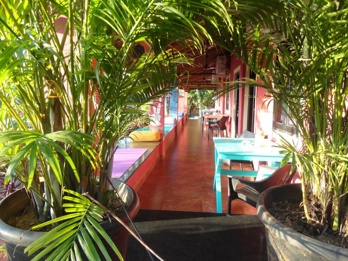 أنجونا The Yuppi Hippi Female Hostel المظهر الخارجي الصورة